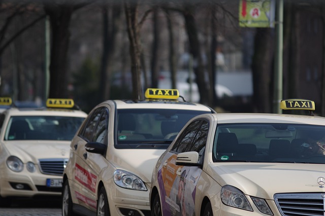 Mehrere beige Taxis stehen hintereinander auf einer Baumallee